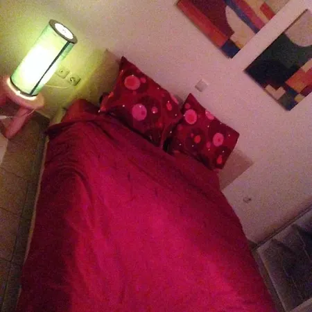 Garage Studio Apartment