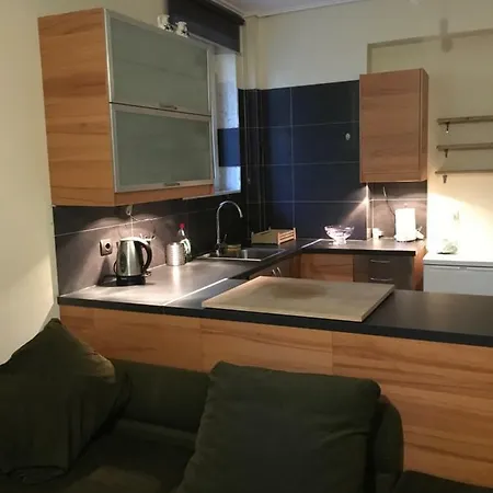 Garage Studio Apartment